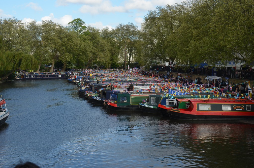 DSC_1151