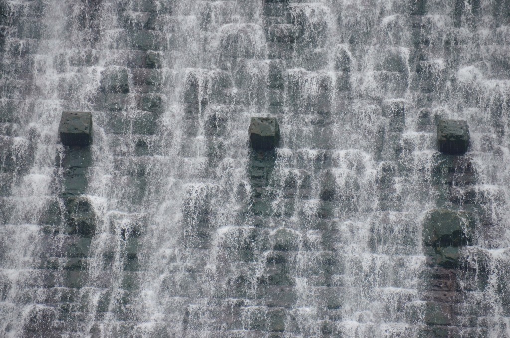 DSC_0420